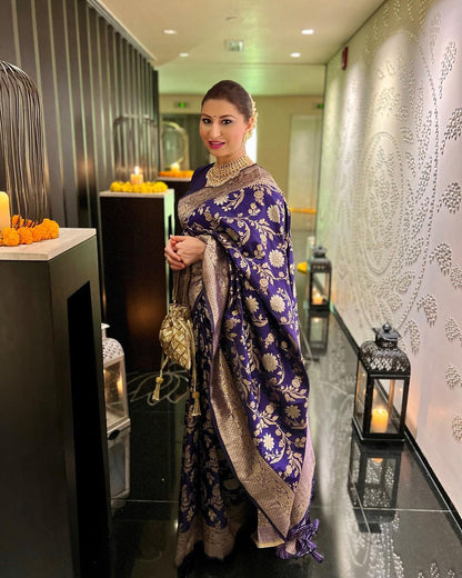 Payal Gupta In Our Soft Katan Silk Saree with Pure Zari Weaves(JAAL)